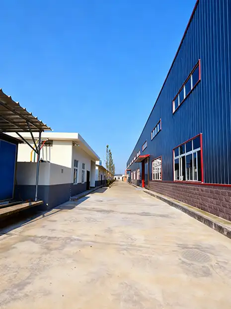 Luoyang Focus W & Mo Technology Co.,Ltd